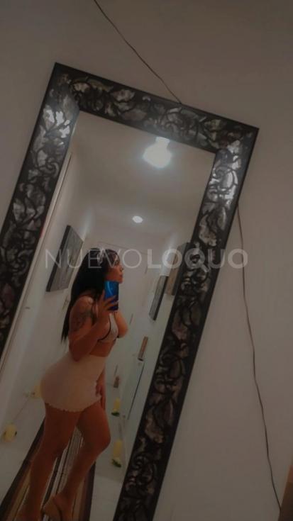NuevoLoquo3