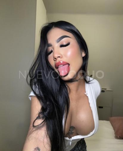 NuevoLoquo3