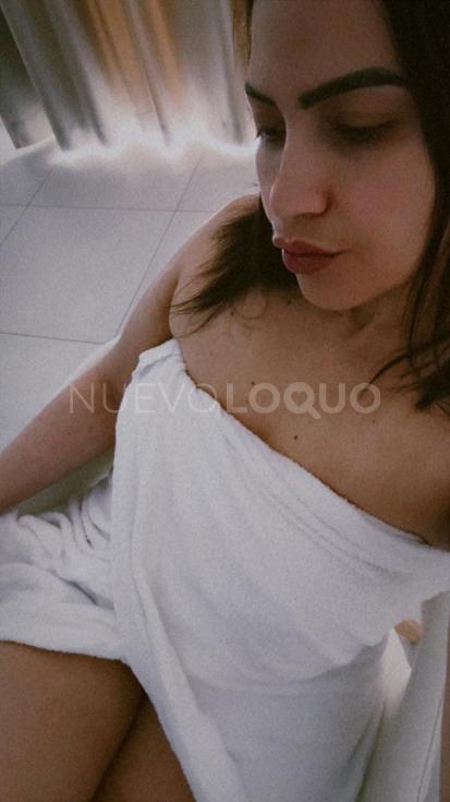 NuevoLoquo4
