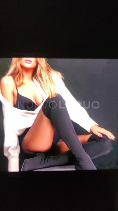 NuevoLoquo1