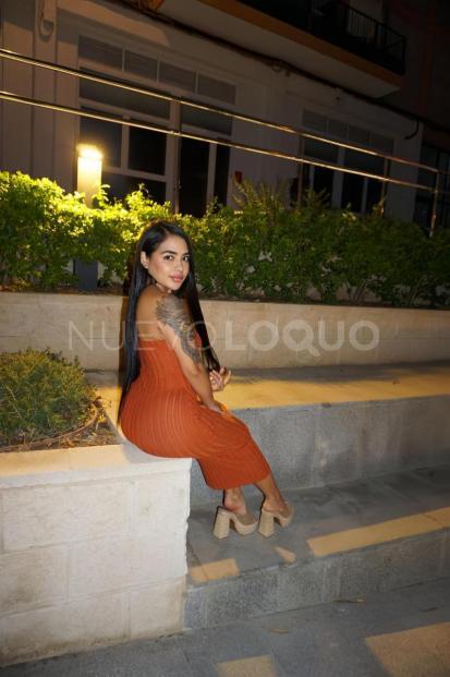 NuevoLoquo2