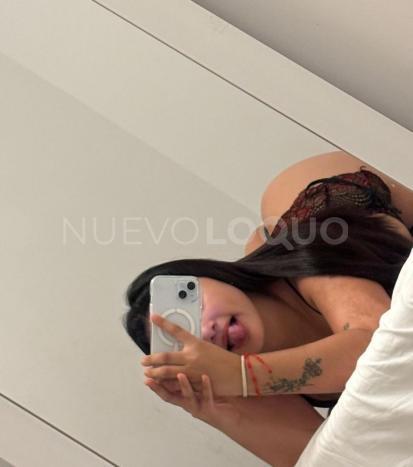 NuevoLoquo2