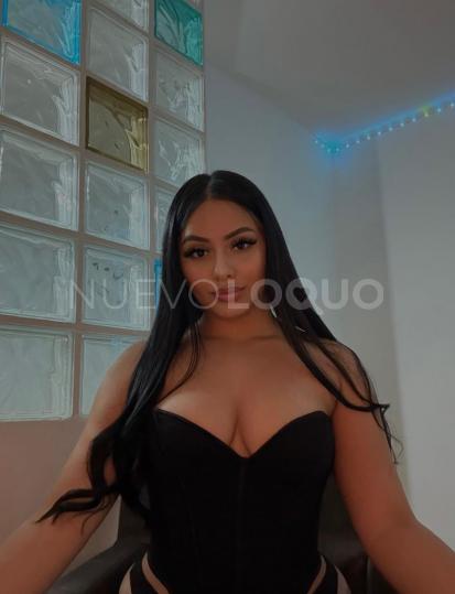 NuevoLoquo3