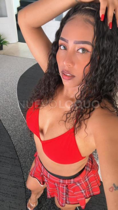 NuevoLoquo2