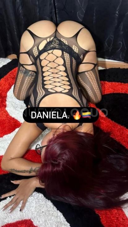 NuevoLoquo3