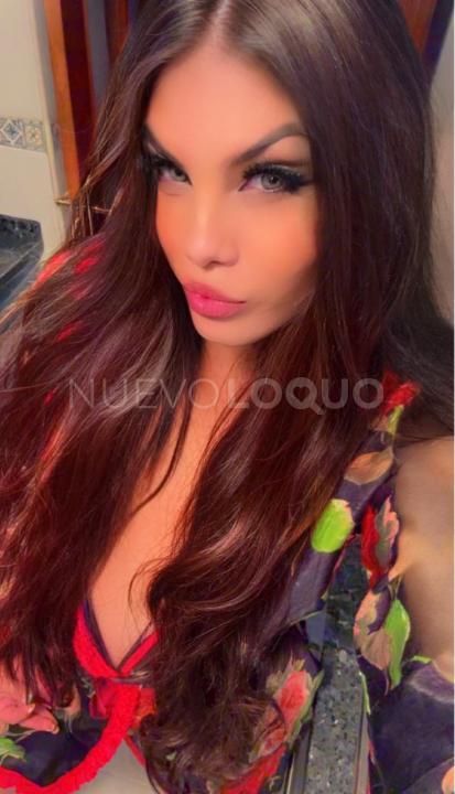 NuevoLoquo3