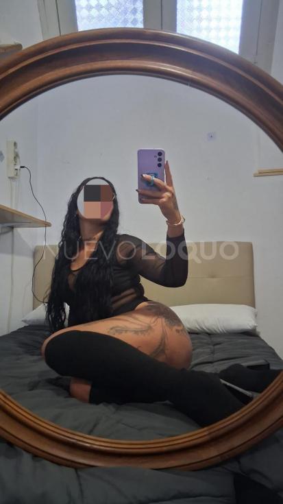 NuevoLoquo2
