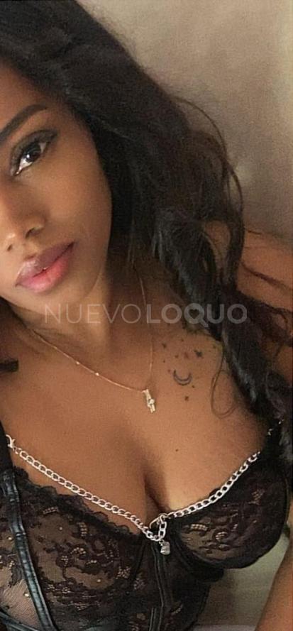 NuevoLoquo3