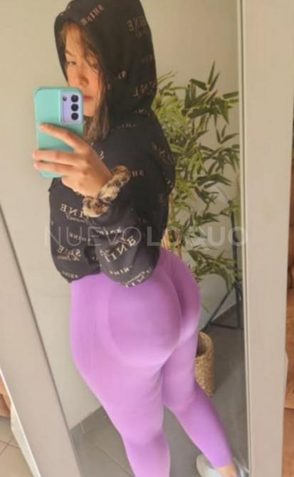 NuevoLoquo2