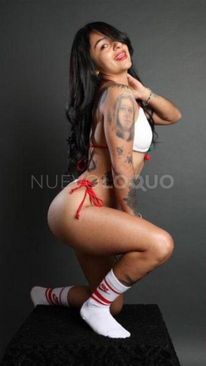 NuevoLoquo1