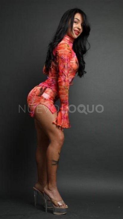NuevoLoquo3