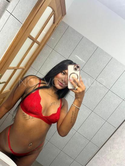 NuevoLoquo1