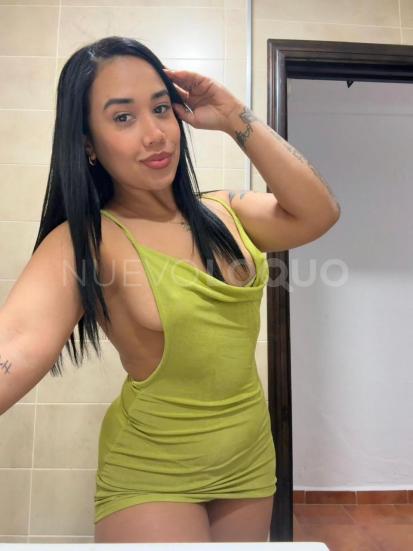 NuevoLoquo3