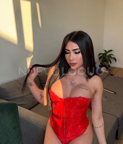  NOVEDAD BOMBON TRANS