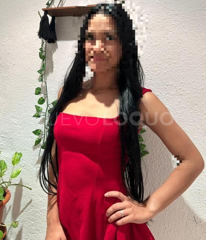NuevoLoquo3