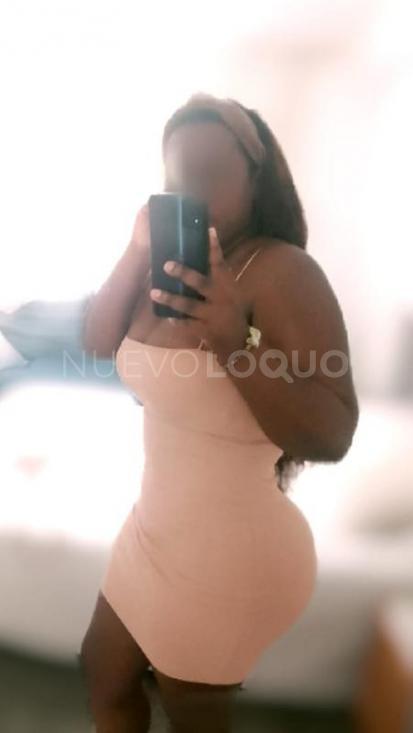NuevoLoquo2