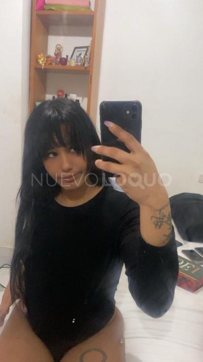 NuevoLoquo2
