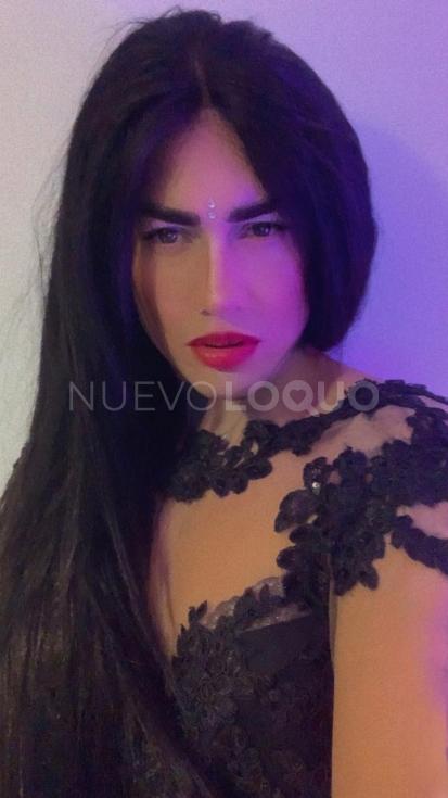 NuevoLoquo2