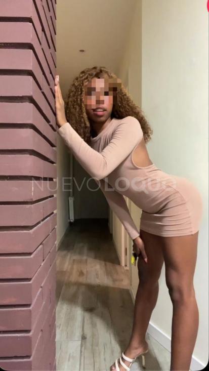 NuevoLoquo0