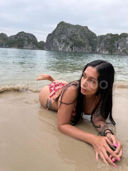 NuevoLoquo3