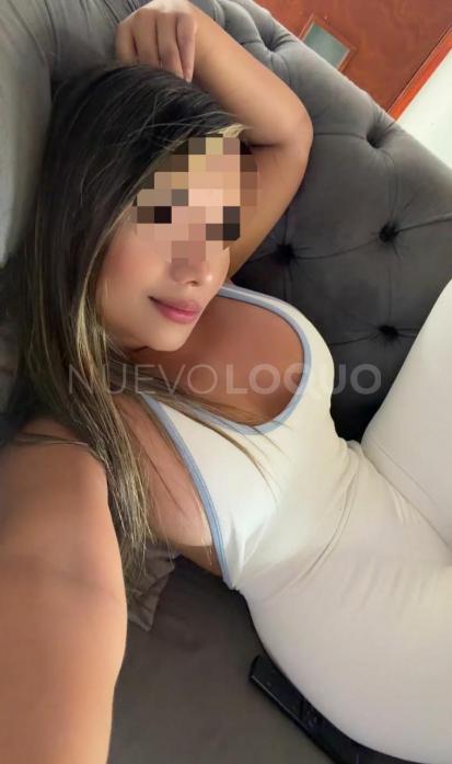 NuevoLoquo2