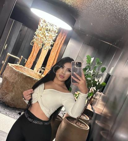 NuevoLoquo1