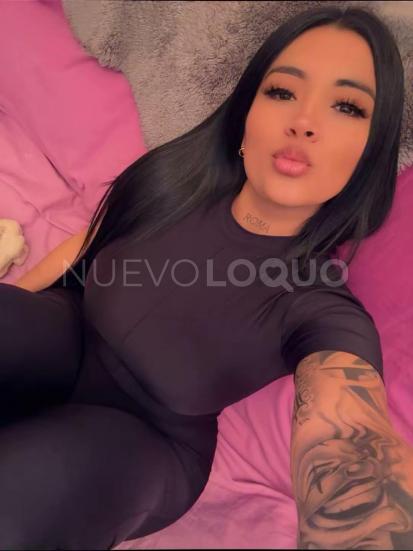 NuevoLoquo3