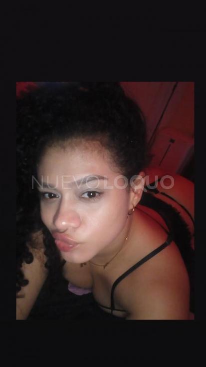 NuevoLoquo3