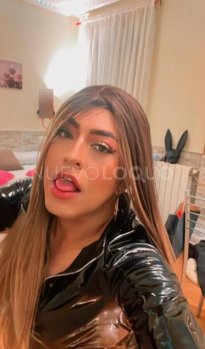 NuevoLoquo1