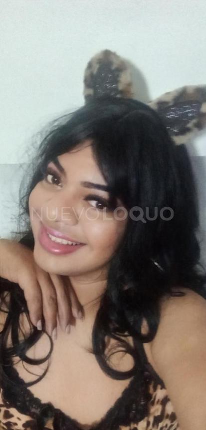 NuevoLoquo4