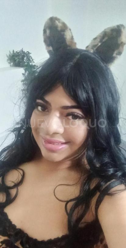 NuevoLoquo5