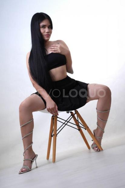 NuevoLoquo2