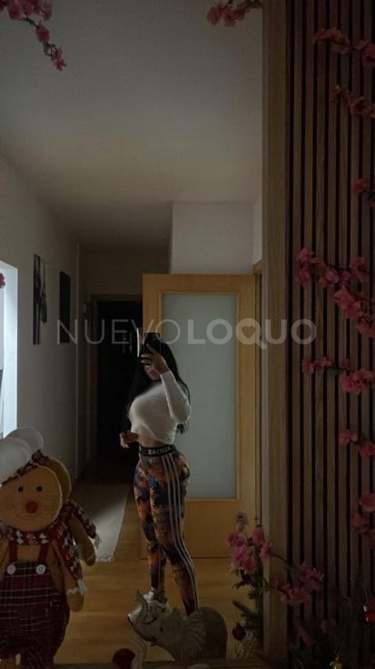 NuevoLoquo1