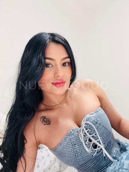 NuevoLoquo3