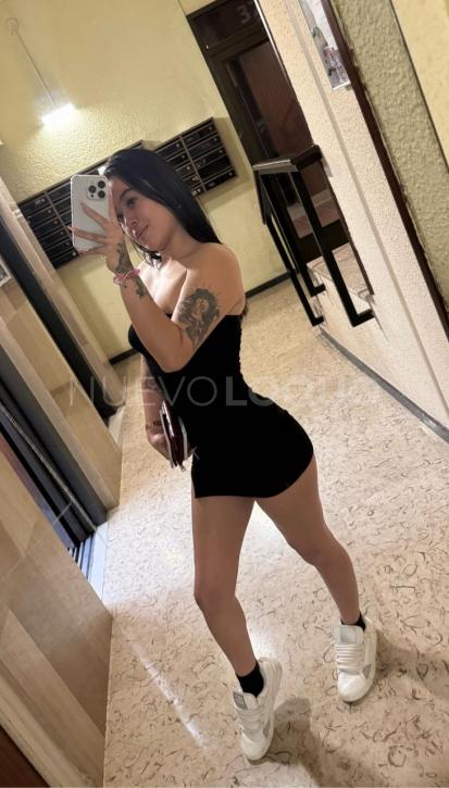 NuevoLoquo3