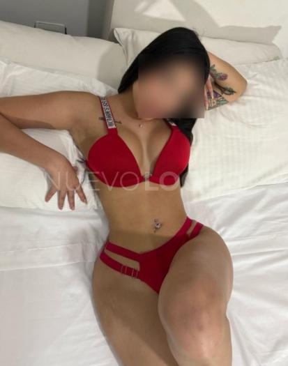 NuevoLoquo2