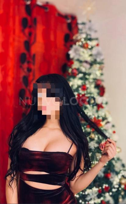 NuevoLoquo3