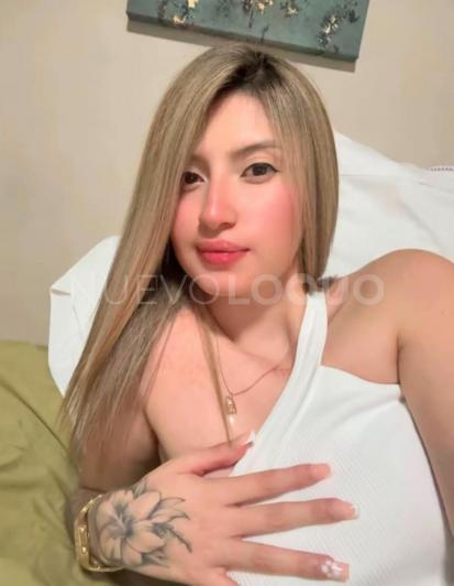 NuevoLoquo3