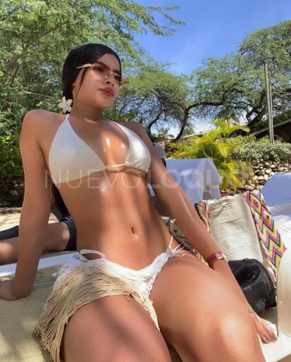 NuevoLoquo2