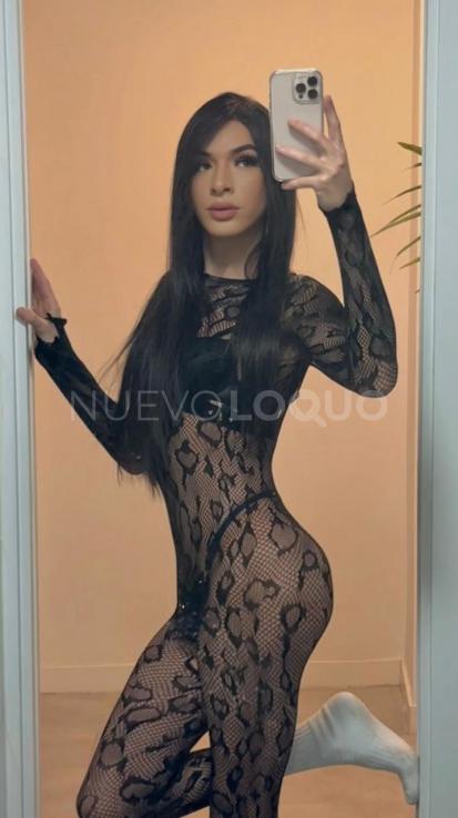 NuevoLoquo3