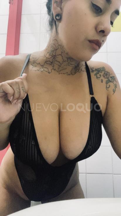 NuevoLoquo1