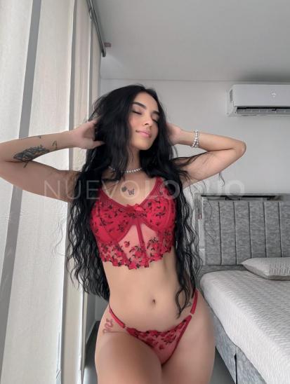 NuevoLoquo3