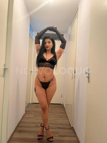 NuevoLoquo1