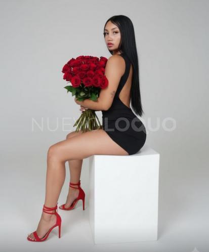 NuevoLoquo3