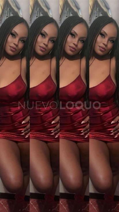 NuevoLoquo4