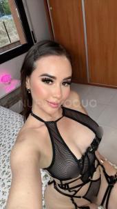 NOVEDAD COMPLACIENTE E IMPLICADA