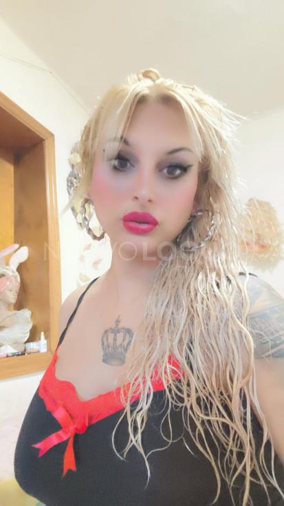 NuevoLoquo2