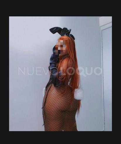 NuevoLoquo2