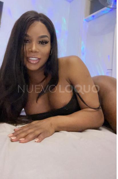 NuevoLoquo3