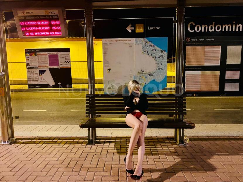  ¿CANSADO DE LO DE SIEMPRE? ALICANTINA